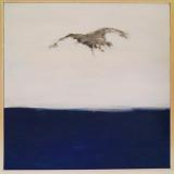 flying seagull