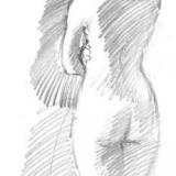 pencil life drawing of a female nude's back