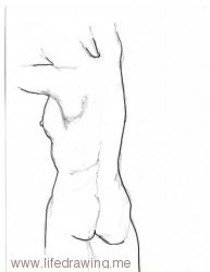 standing woman pencil life drawing